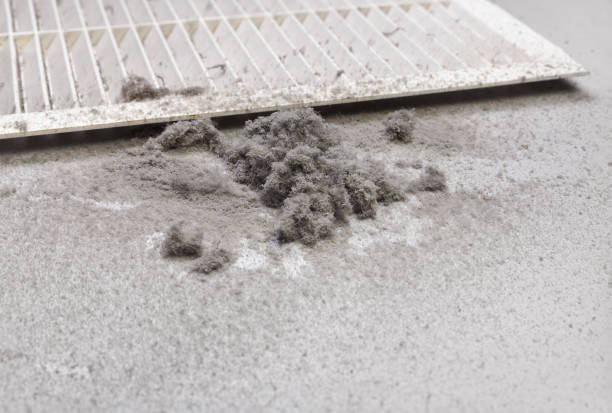 Best Professional Duct Cleaning Services  in Kannapolis, NC