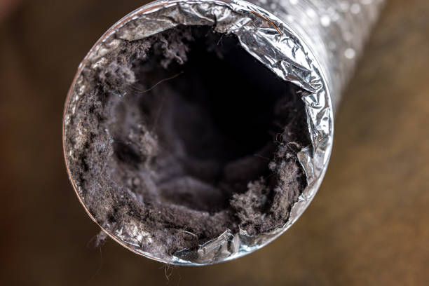 Best Home Air Vent Cleaning  in Kannapolis, NC
