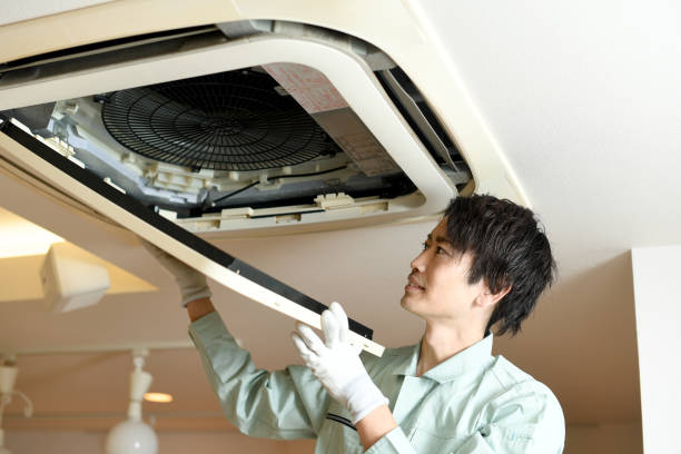 Best Air Duct Mold Removal  in Kannapolis, NC